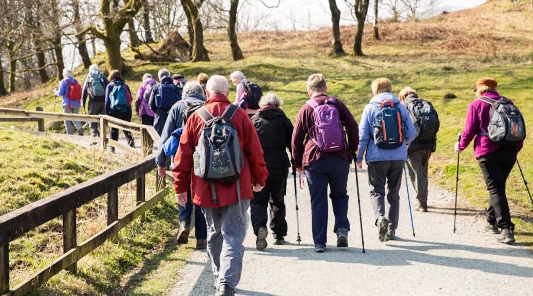 Curved rural road with grasses along the shoulder